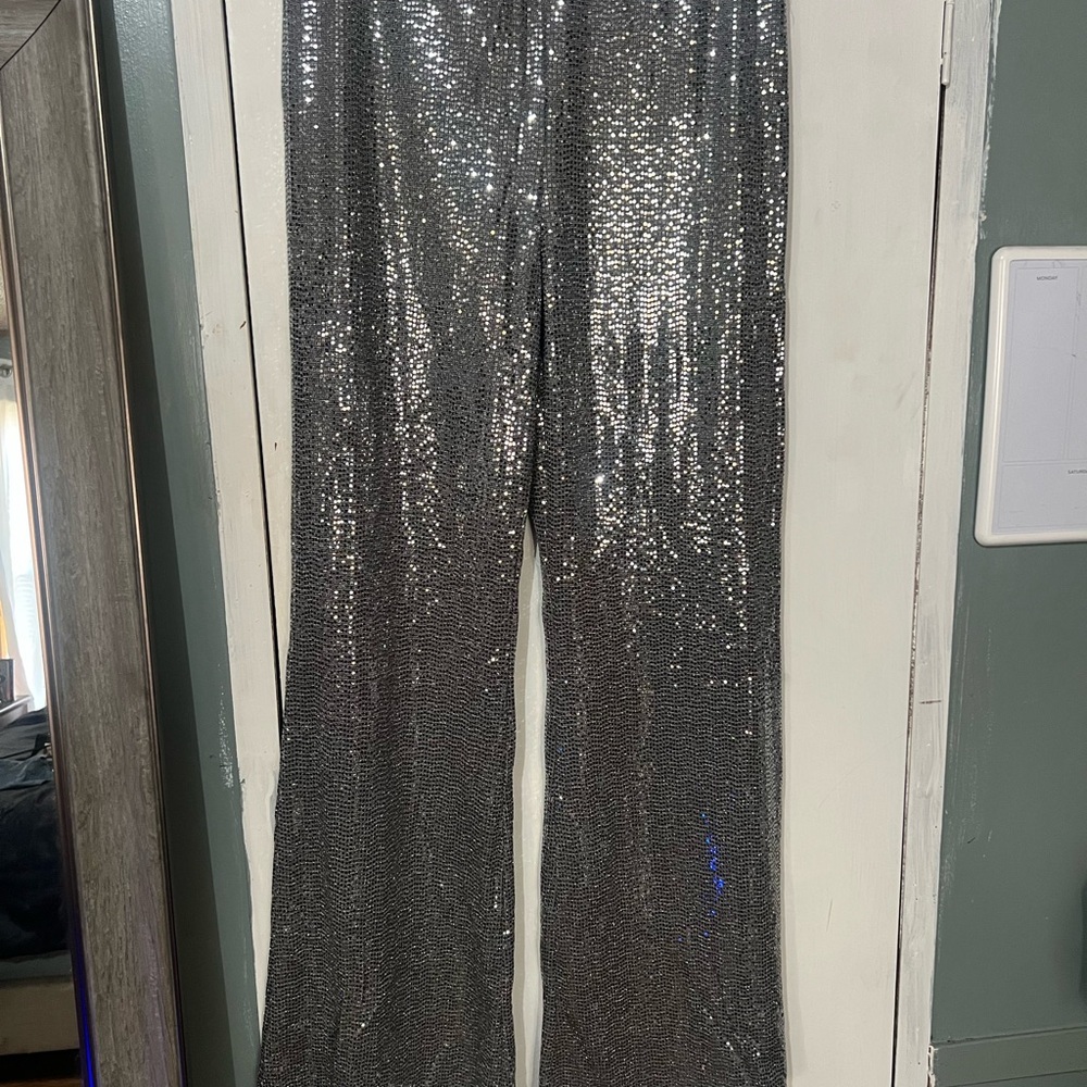Silver Sequin Pants - image 1